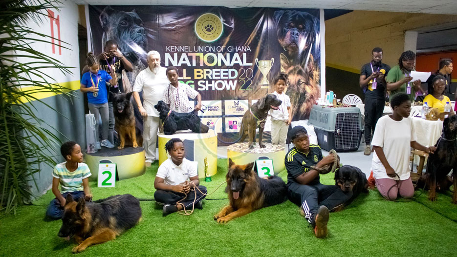 Ghana Dog Show