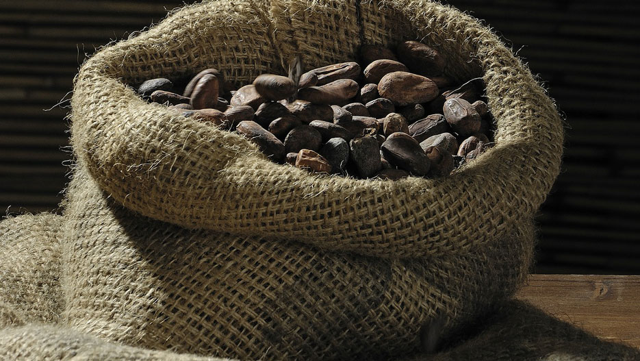Evaluation du Secteur du Cacao en Côte d’Ivoire par Stéphane Apoque de Kineden