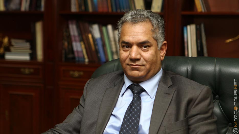 Mamdouh Al-Damaty, Minister of Antiquities and Heritage, Egypt