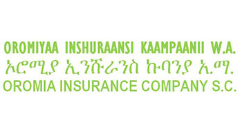 Top Insurance Companies in Ethiopia