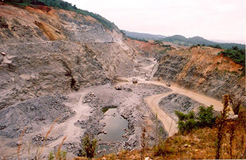 Gold mining in Ethiopia, Midroc Group