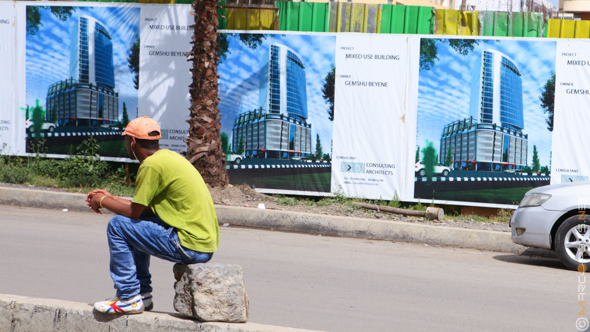 Real estate in Ethiopia growing by 25%, Role of private real estate companies in Ethiopia