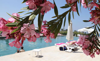 Edde Sands Resort Byblos, swimming pool
