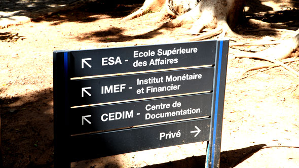 Innovation Policy at Ecole Superieure des Affaires (ESA)