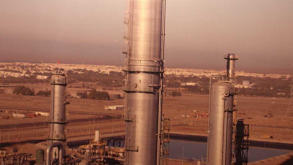 Low Oil Prices and Petrochemical Industry
