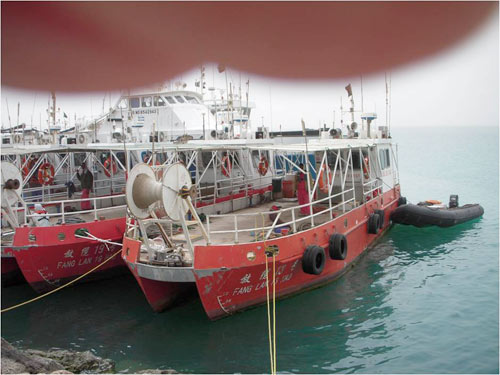 National Oil and Gas Authority