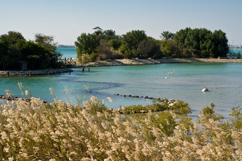 Water Protection