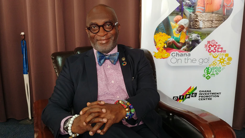 Yofi Grant, CEO of GIPC (Ghana Investment Promotion Centre)