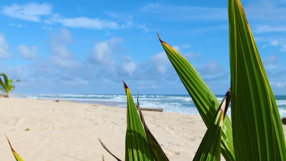 Côte d'Ivoire Facts and Figures