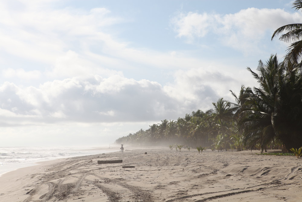 Investment Côte d’Ivoire