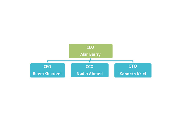 Newroz Telecom Organizational Structure
