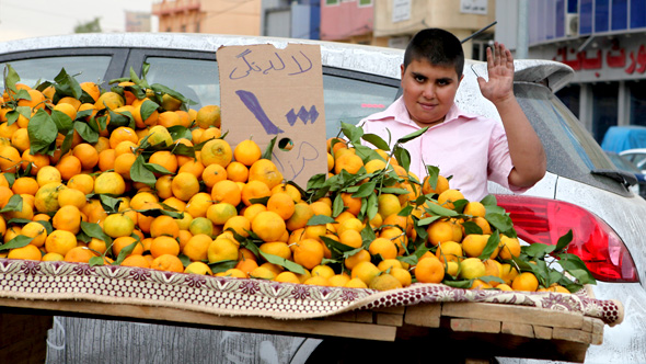 Kurdistan: Agriculture Taking Second Place to Oil Development