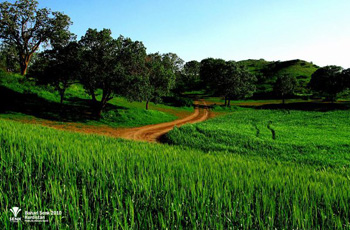 Agriculture incentives by KRG in Kurdistan region of Iraq