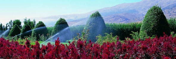 Parc Verdi Parc Verdi