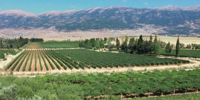 Bekaa Valley Bekaa Valley