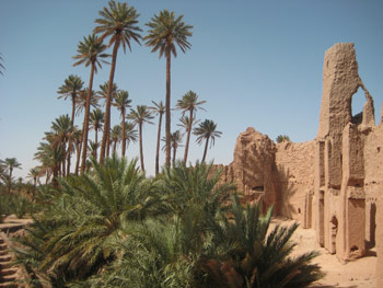 Meknes Church Figuig Oasis