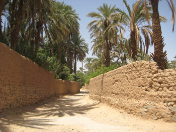 Meknes Church Oasis Figuig