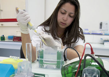 Morocco Education Innovation