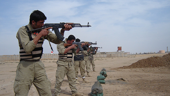 Outlook for Security Services in Iraq