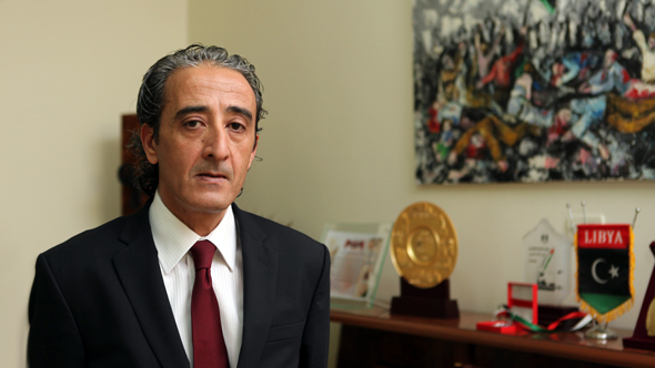 Habib Mohammed Al-Amin, Minister of Culture and Civil Society of Libya
